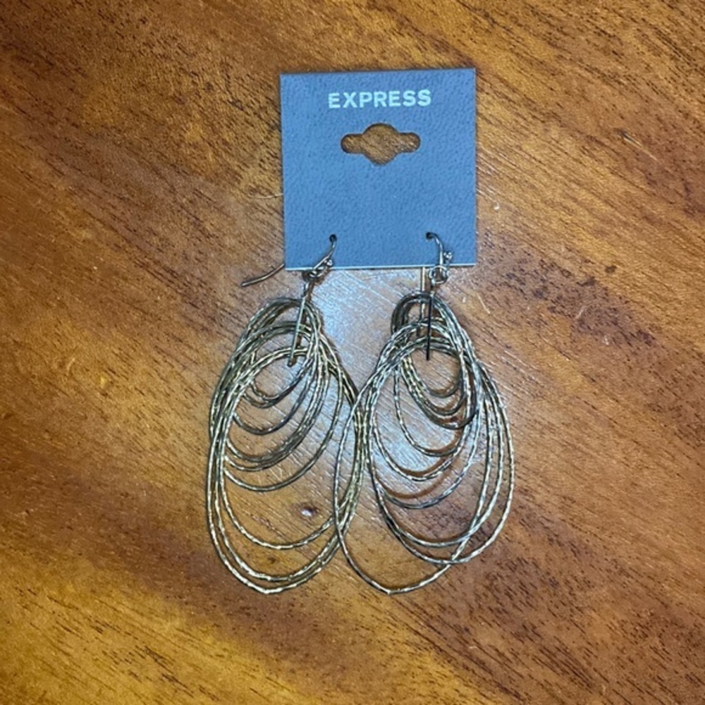 🆕 Express Earrings
